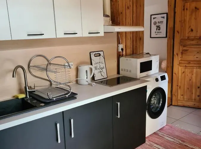 Vanalinnas Апартаменты